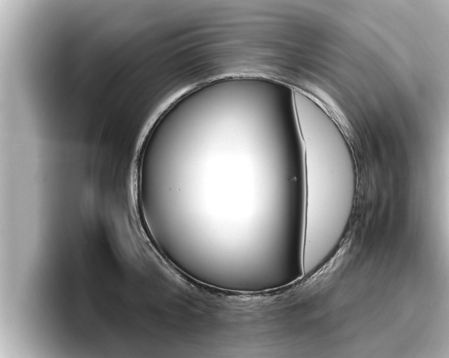 X0000096670804200802051009