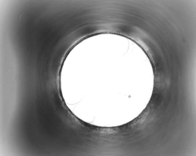 X0000096670807200802051009