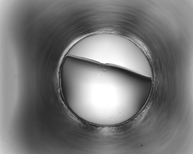 X0000096670808200802051008