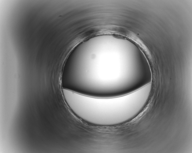 X0000096670809200802051008