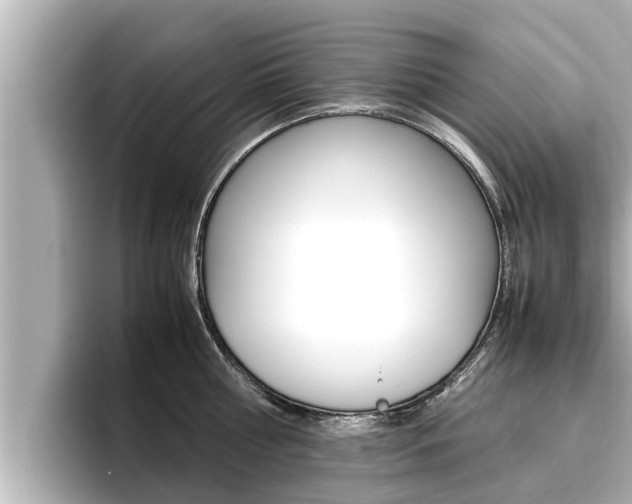 X0000096670810200802051008