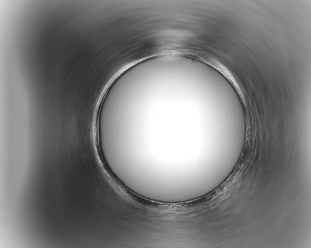 X0000096670811200802051008