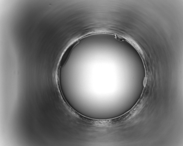 X0000096670813200802051008