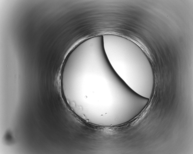 X0000096670814200802051008
