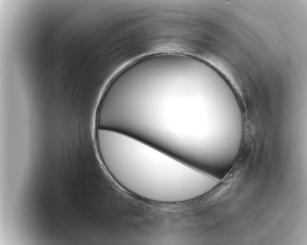 X0000096670815200802051008