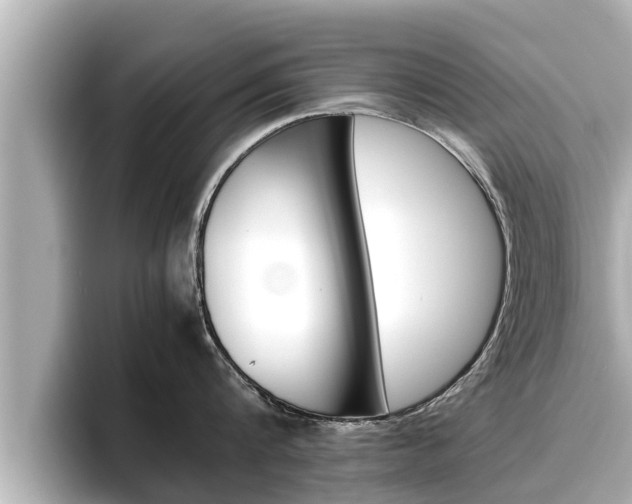 X0000096670816200802051008