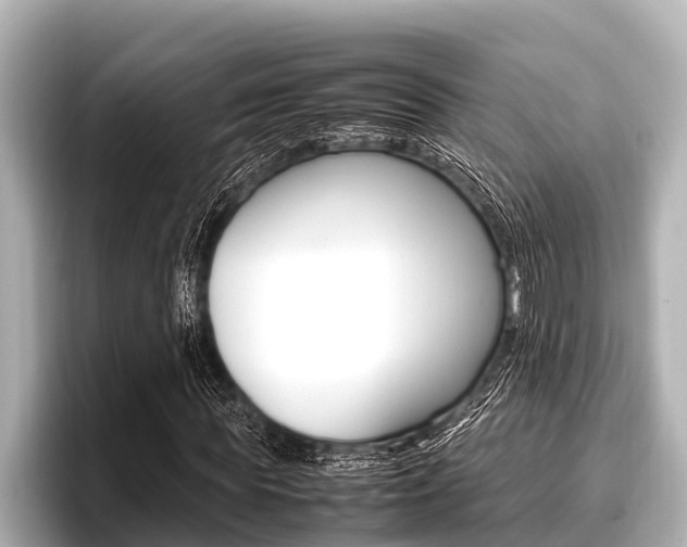 X0000096670819200802051008