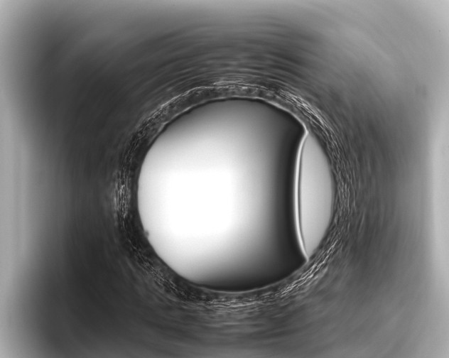 X0000096670821200802051008