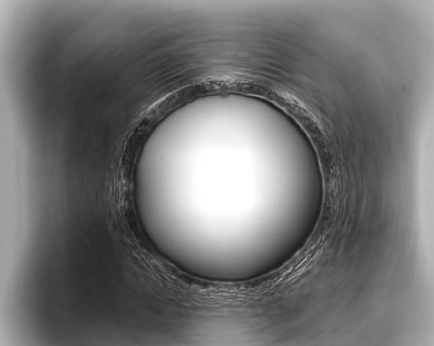X0000096670822200802051008