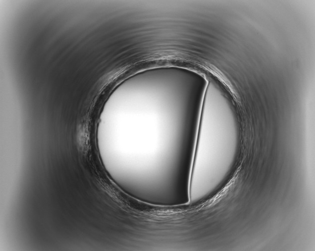 X0000096670826200802051008