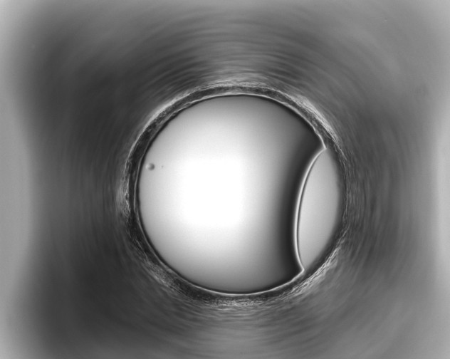 X0000096670830200802051008