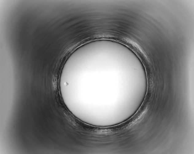 X0000096670833200802051008