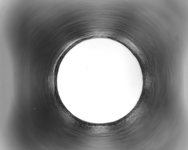 X0000096670836200802051008