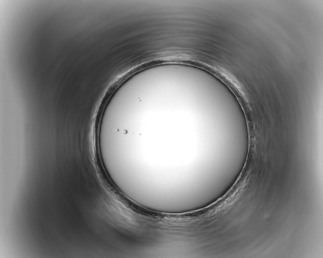 X0000096670840200802051008