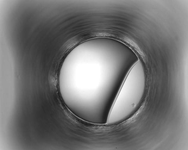 X0000096670841200802051008