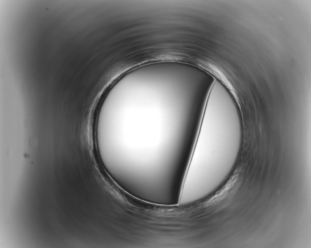 X0000096670843200802051008