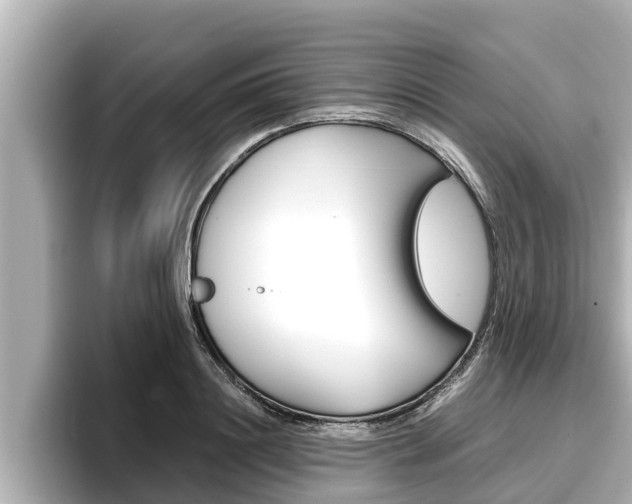 X0000096670844200802051008