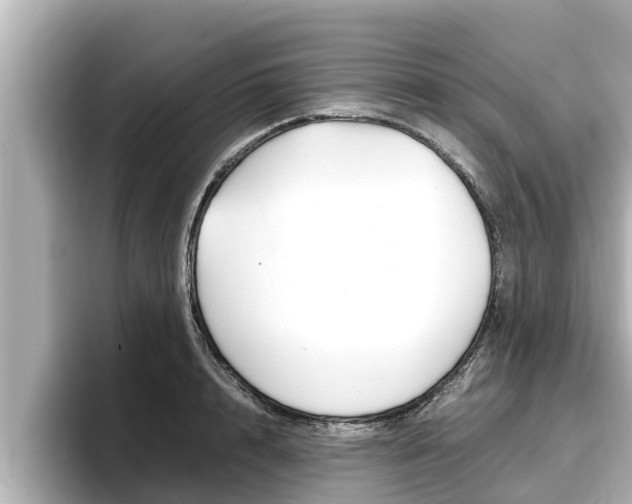X0000096670848200802051008
