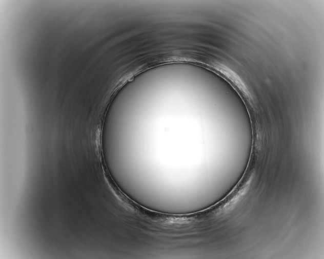 X0000096670849200802051008