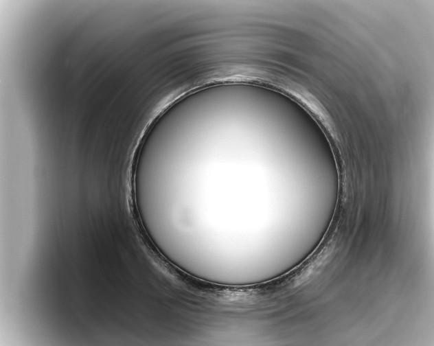 X0000096670850200802051008