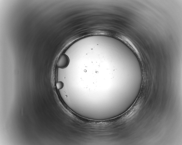 X0000096670851200802051008