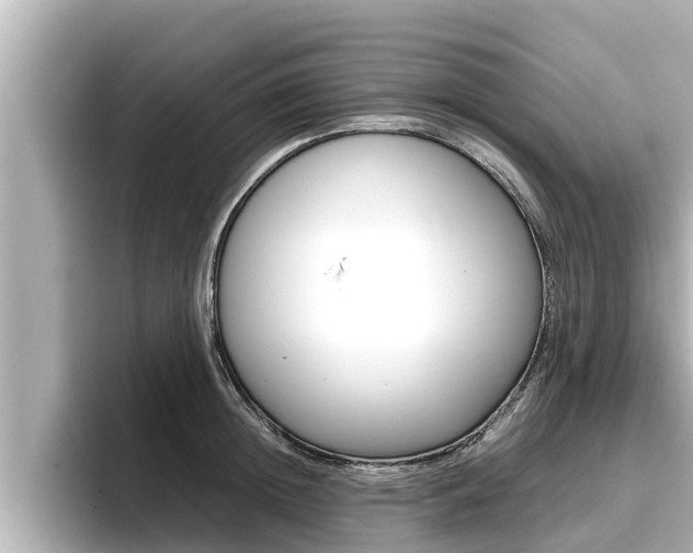 X0000096670852200802051008