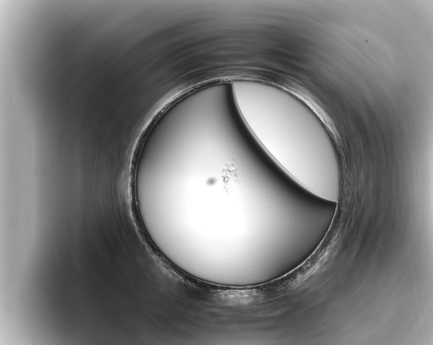 X0000096670853200802051008