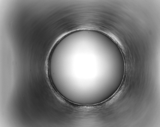 X0000096670854200802051008