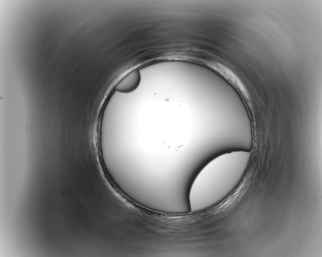 X0000096670855200802051008