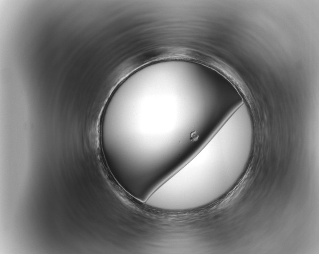 X0000096670858200802051008