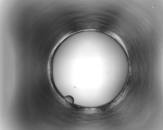 X0000096670859200802051008