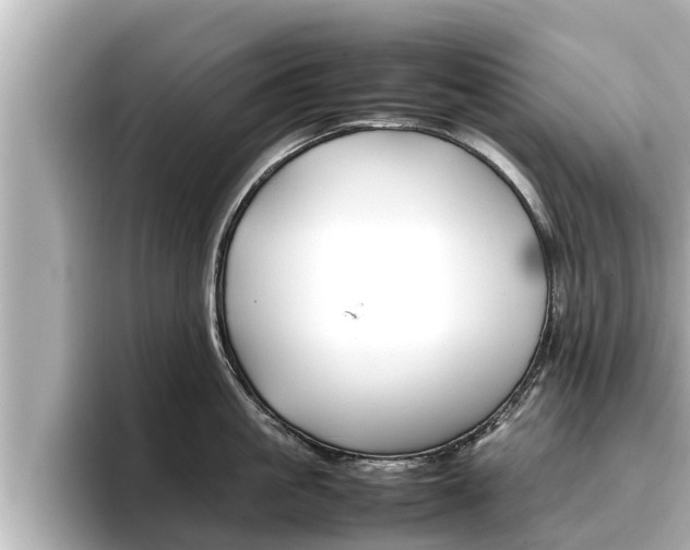 X0000096670861200802051008