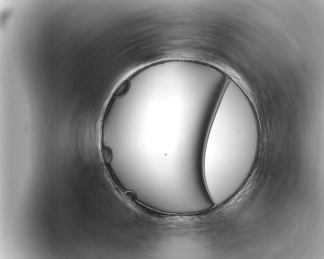 X0000096670862200802051008
