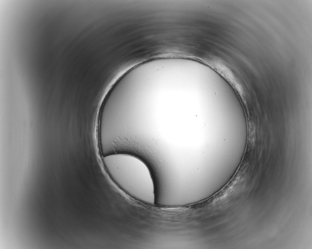 X0000096670863200802051008
