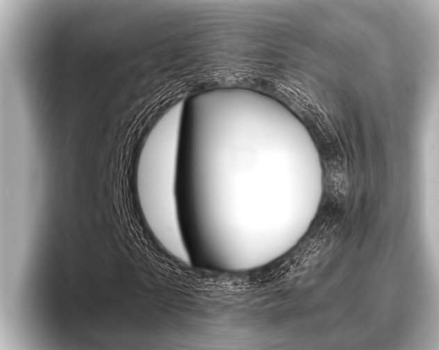 X0000096670865200802051008