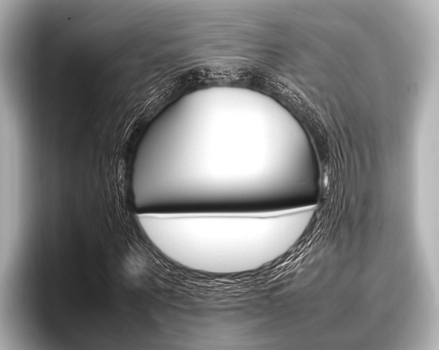 X0000096670867200802051008