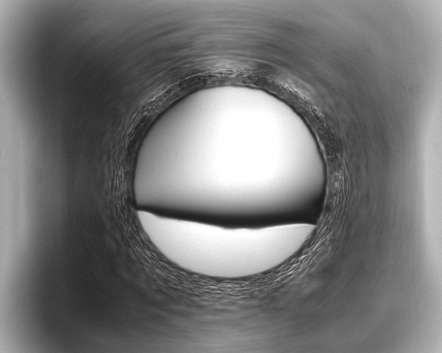 X0000096670869200802051008