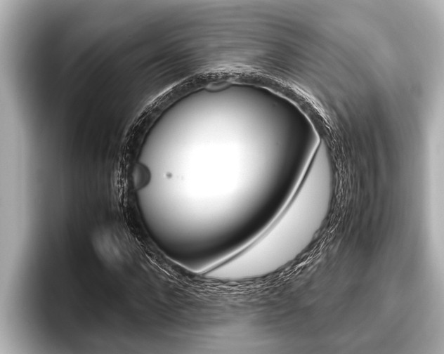 X0000096670872200802051008