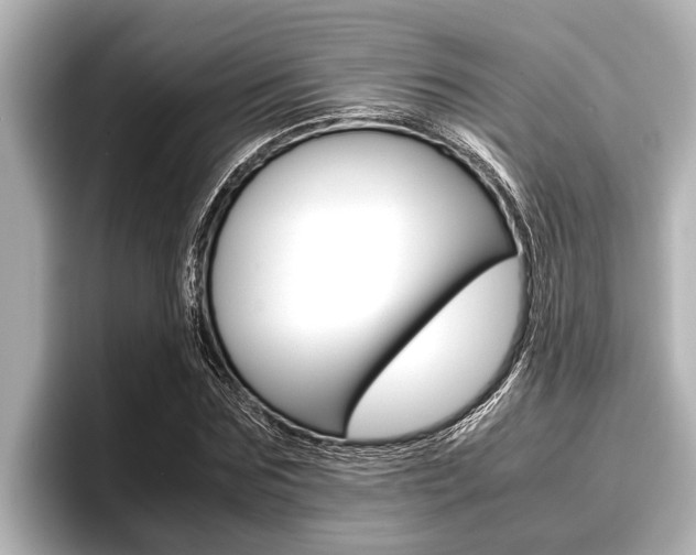 X0000096670875200802051008