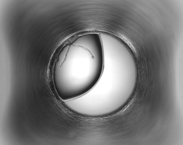 X0000096670876200802051008