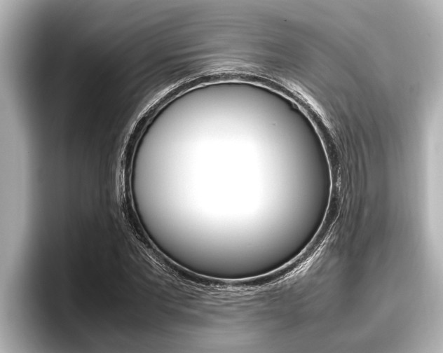 X0000096670877200802051008