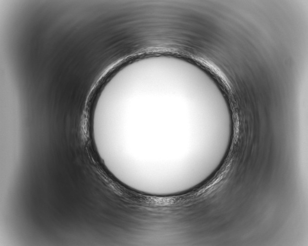 X0000096670878200802051008