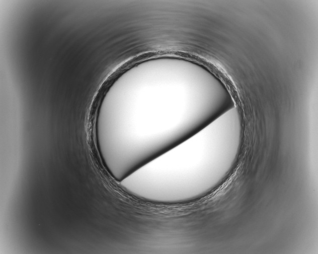 X0000096670879200802051008