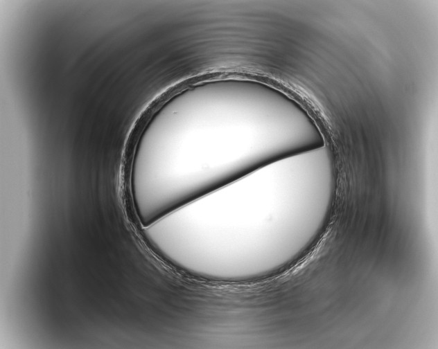 X0000096670880200802051008
