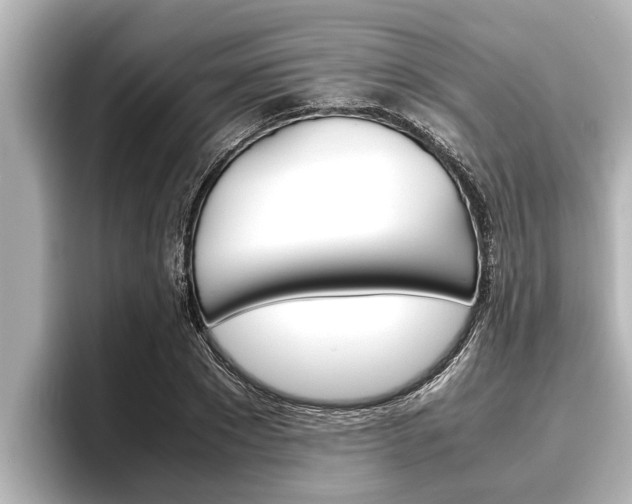 X0000096670881200802051008