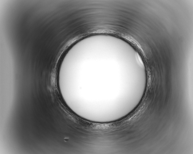 X0000096670882200802051008