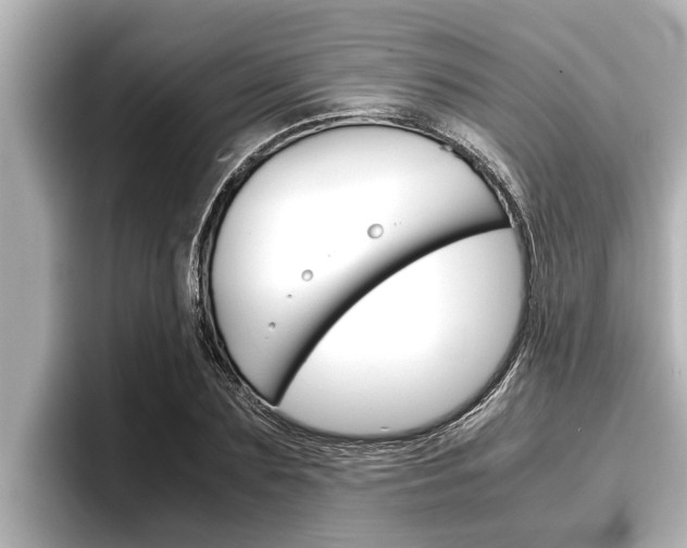 X0000096670883200802051008