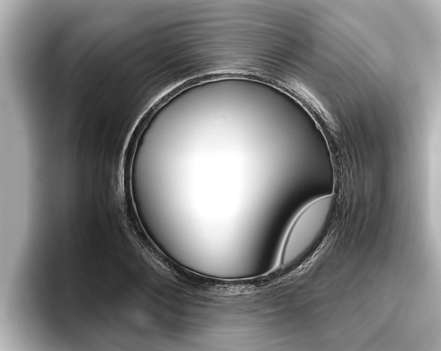 X0000096670884200802051008