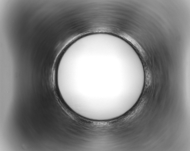 X0000096670886200802051007