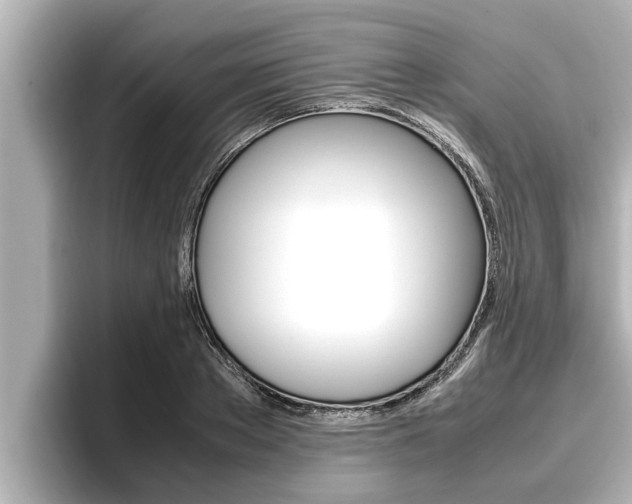 X0000096670889200802051007